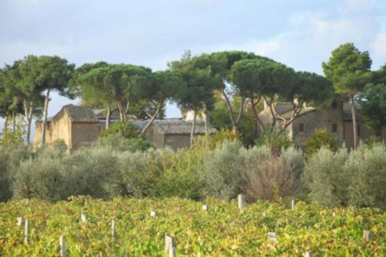 Antico Borgo La Commenda Aparthotel Montefiascone Ngoại thất bức ảnh